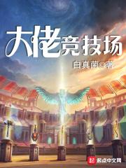 大佬竞速起步