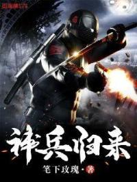 神兵归来免费全本