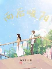 雨后阳光打一生肖