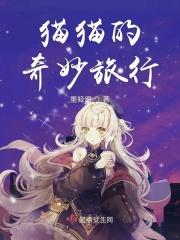 猫猫的奇妙旅行 鸟去哪了