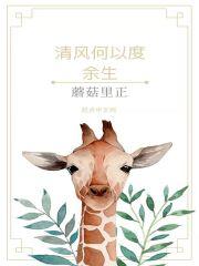 清风余晖是什么意思