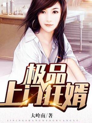 极品上门狂婿电子书