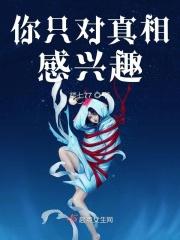 我对真相的探索终于结束了