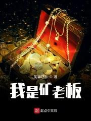 我是矿老板起点