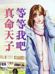 真命天子歌词