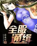 全服通缉橙光攻略