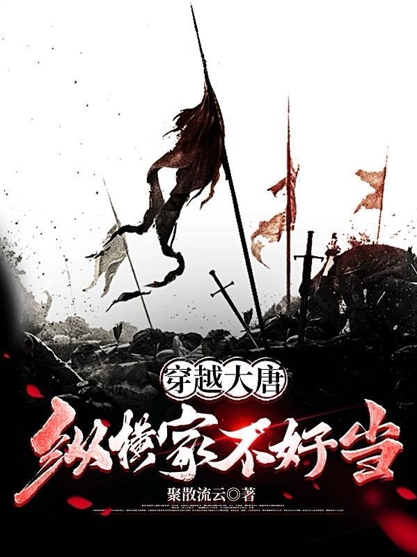 纵横大唐