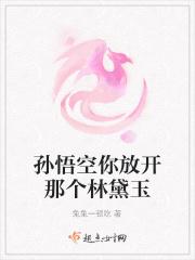 当孙悟空遇到林黛玉