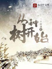 从树苗成长为世界树免费阅读