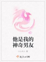 他是我的男朋友在线阅读