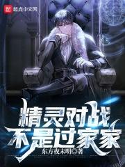 精灵对战玩具