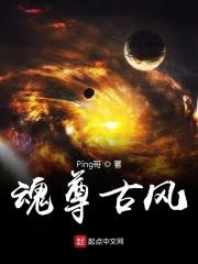 魂尊后面是什么