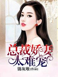 娇妻难惹总裁太偏执