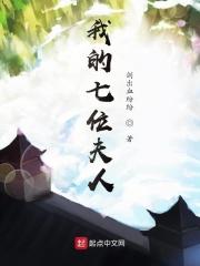 我的七位夫人起点