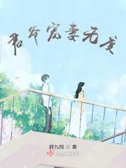 君爷宠妻入骨锦西