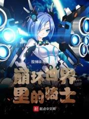 崩坏世界里的骑士幻影崇宫讠.