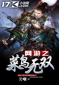 网游之菜鸟之王无忧