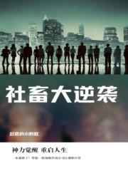 社畜的护崽日常