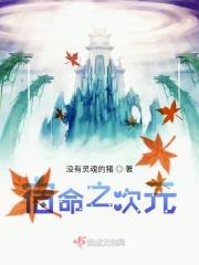 次元宿命游戏