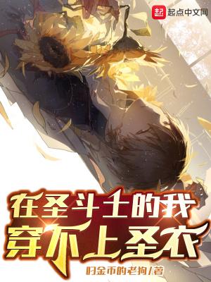 圣斗士之我