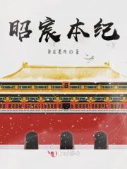昭辰名字寓意