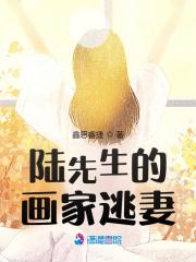 陆先生的躲妻童颜