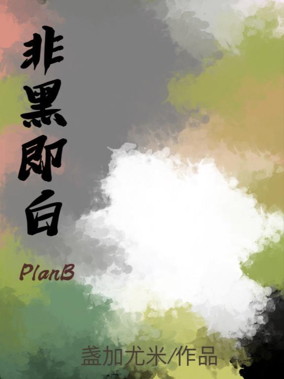 非黑即白 什么意思