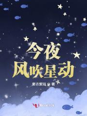 今夜晚风轻