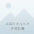 萌娃大闹九州