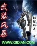 武装风暴epub