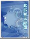 极品丹医