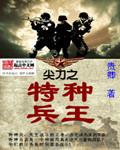 电视特种兵之尖刀利刃