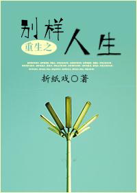 重生之别样人生H