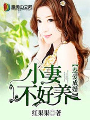 小妻不好惹宁可
