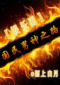 国民男神实体书