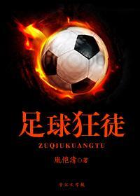 足球狂人教练