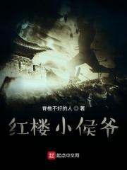 红楼小侯爷开局觉醒武圣