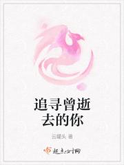 追寻逝去的时光pdf