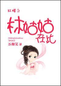 红楼之林家姑姑格格党