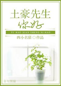 土豪什么意思啊