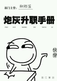 炮灰升级指南 潇湘