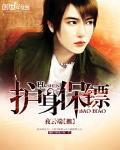 保镖护驾是什么意思