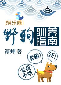 怎么训野狗