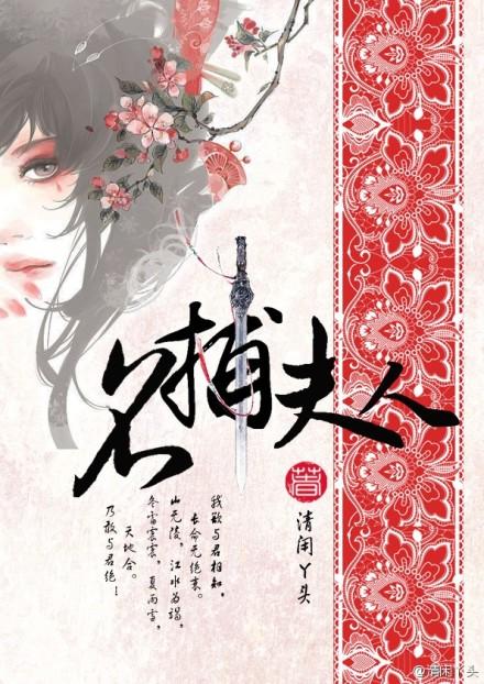 名捕夫人TXT