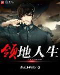 领地人生mmo官网