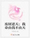 废材逆天系列完结