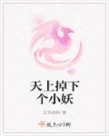 天上掉下只小萌宝