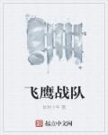 飞鹰战队剧情介绍
