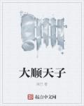 大顺是什么意思