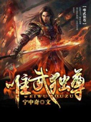 唯武独尊小游戏